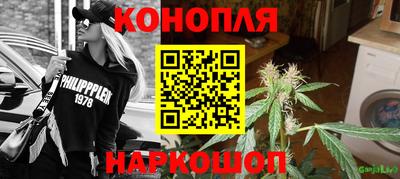 spice Дубна