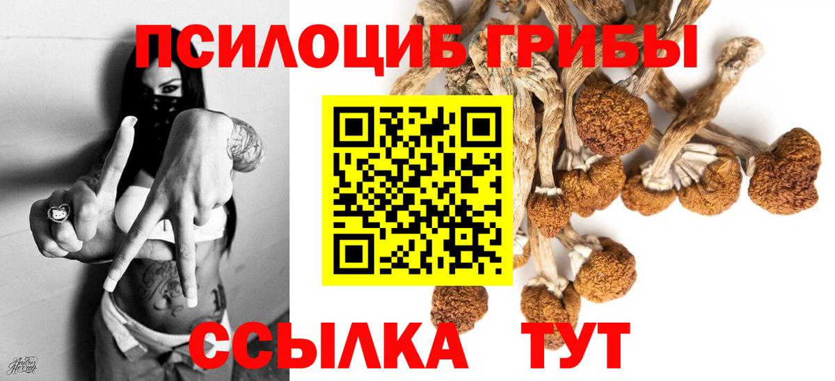 Галлюциногенные грибы прущие грибы  Вход с VPN  Галлюциногенные грибы Cubensis  цена   Мирный 