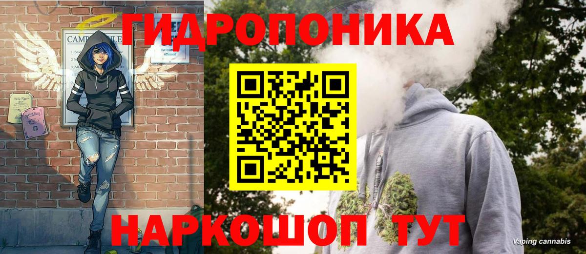 Шишки марихуана конопля Мирный